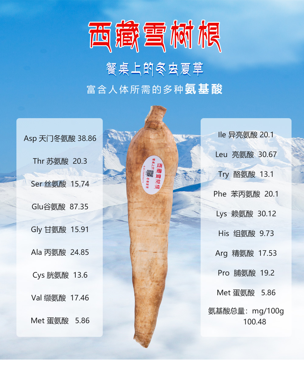 白四代雪树根图片